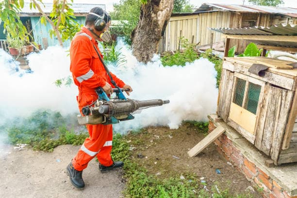 Fumigation