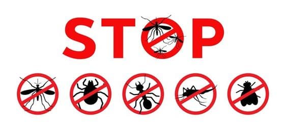 Pest Control Background